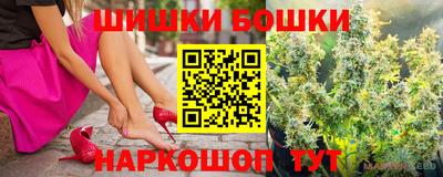 крисы Владимир